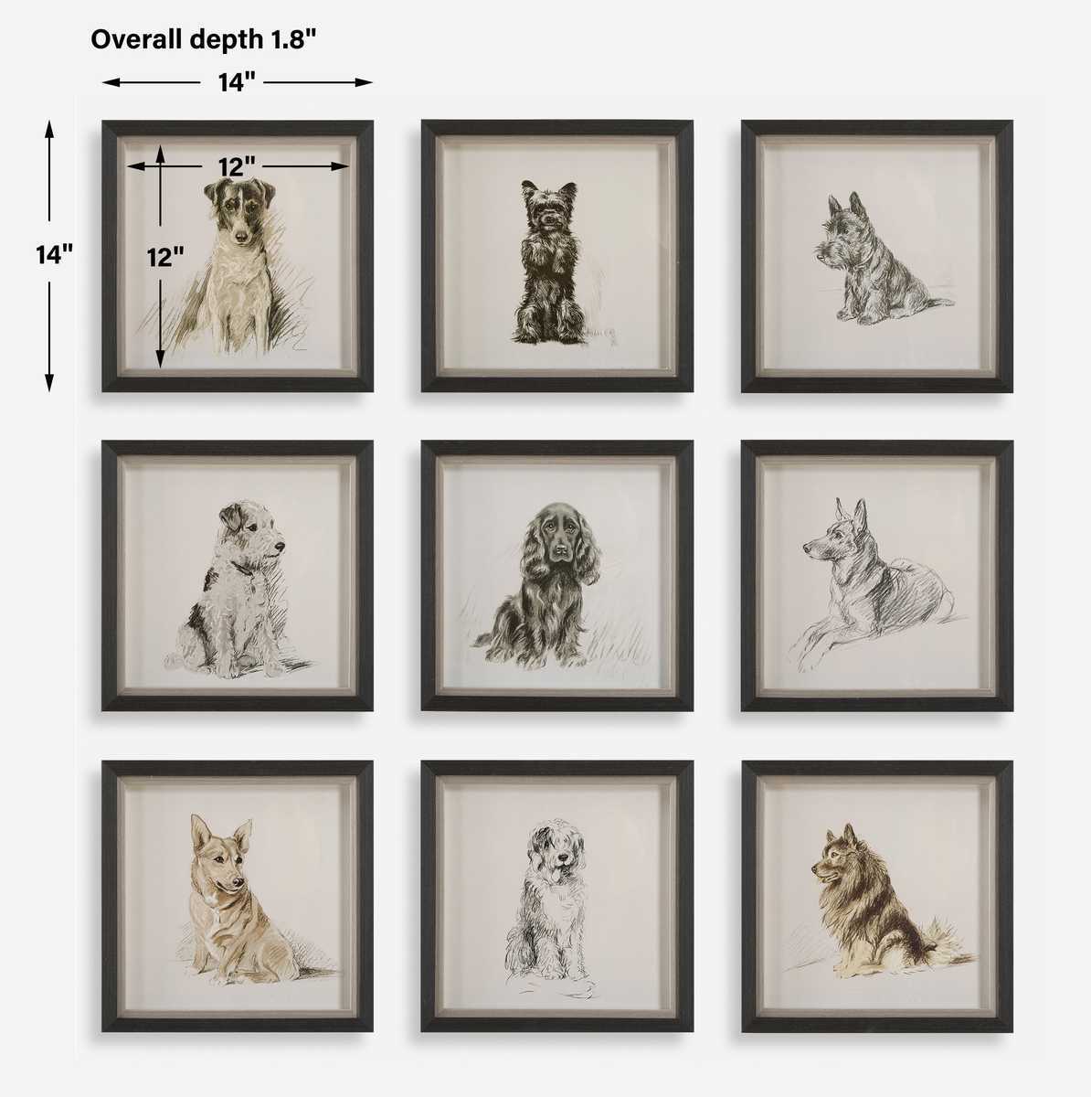 Set of framed black and white dog illustrations with dimensions on a white background