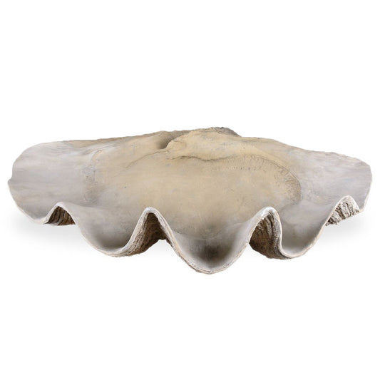 Coastal Clam Shell Bowl