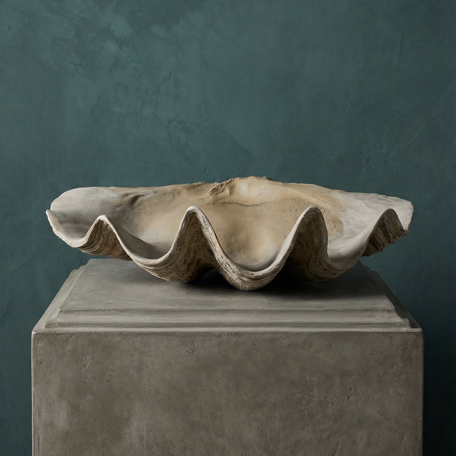 Large shell on a pedestal against a dark green background