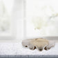 Shell bowl on kitchen counter.