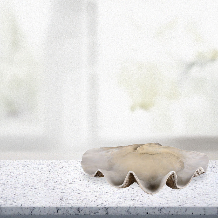 Shell bowl on kitchen counter.