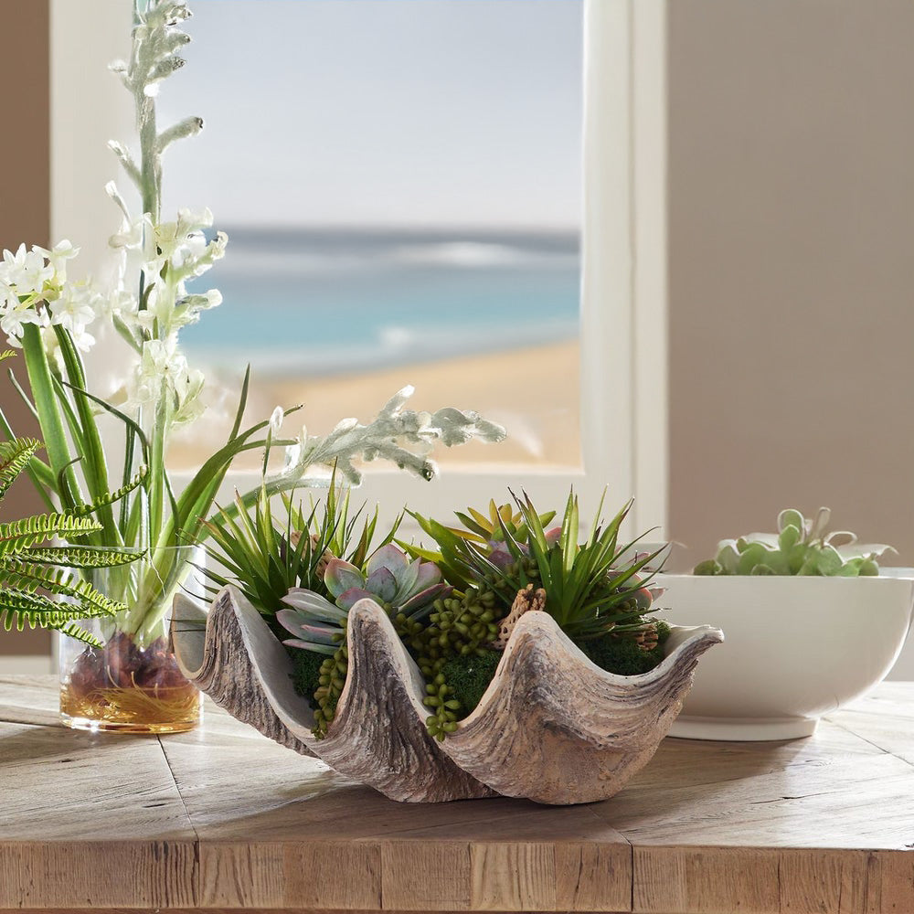 Coastal fake succulent arrangement in clamshell on wood table in beach home with ocean view.