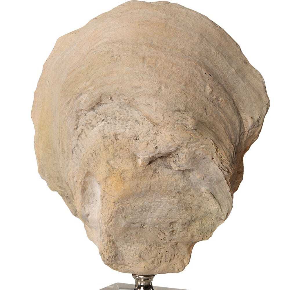 Oyster shell on a stand against a white background