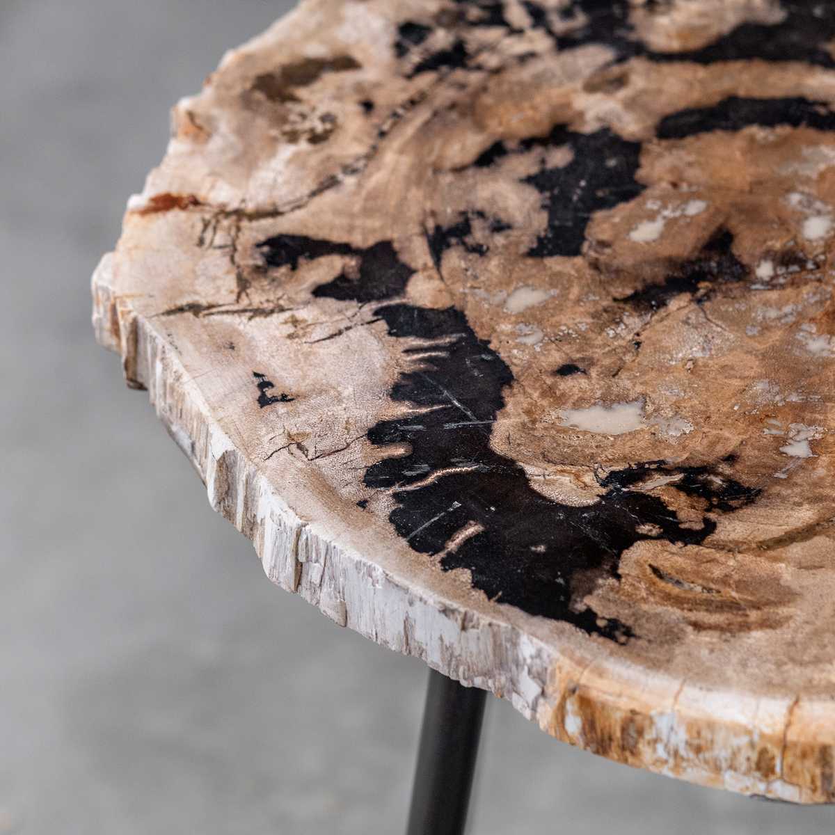 Close-up of a petrified wood table with a natural, textured surface.