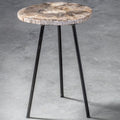 Petrified Wood Side Table