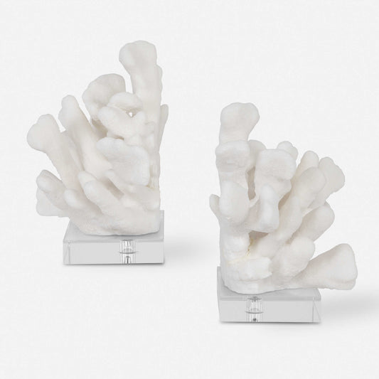 White Coral Bookends
