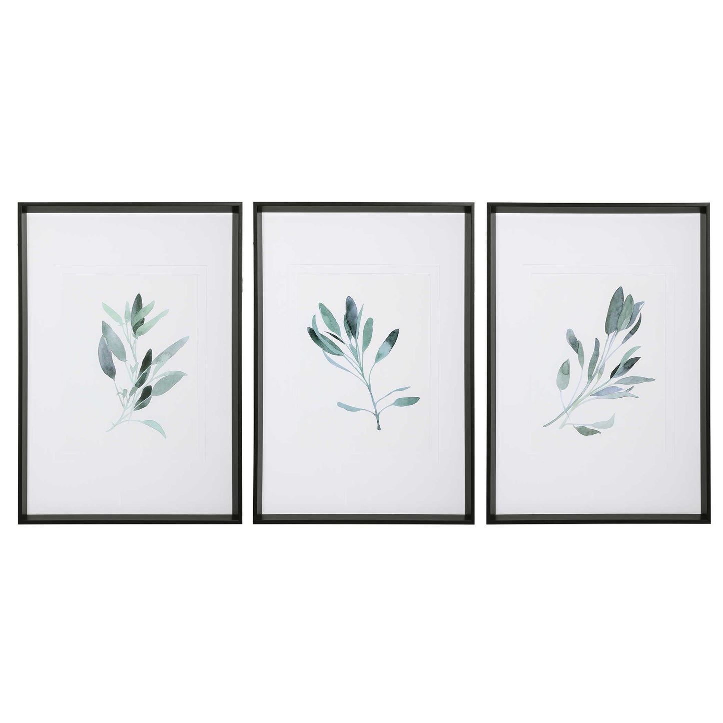 Set of three prints on white background. 