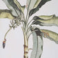 Close-up of art banana palm