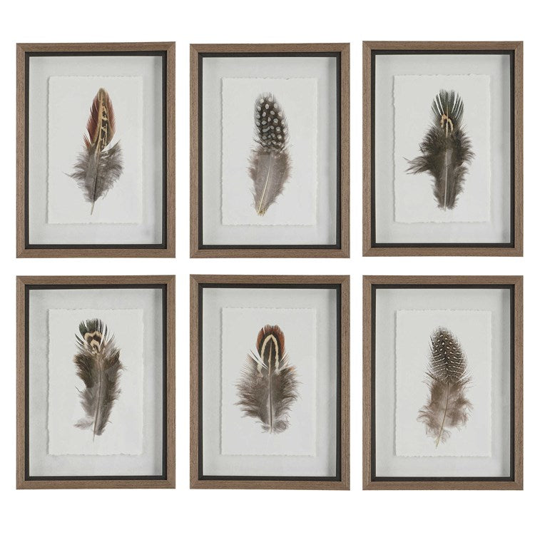 Birds of a Feather Framed Prints, S/6