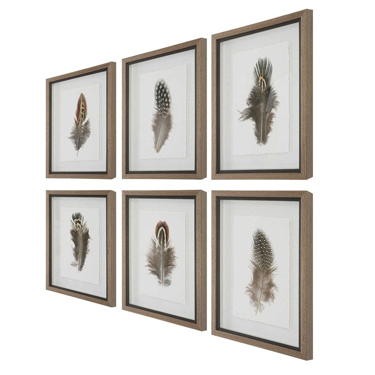 Birds of a Feather Framed Prints, S/6