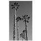 California palm acrylic