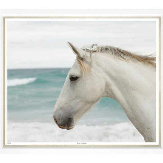 White horses head and neck walking along beach with obscure sand and ocean in background.