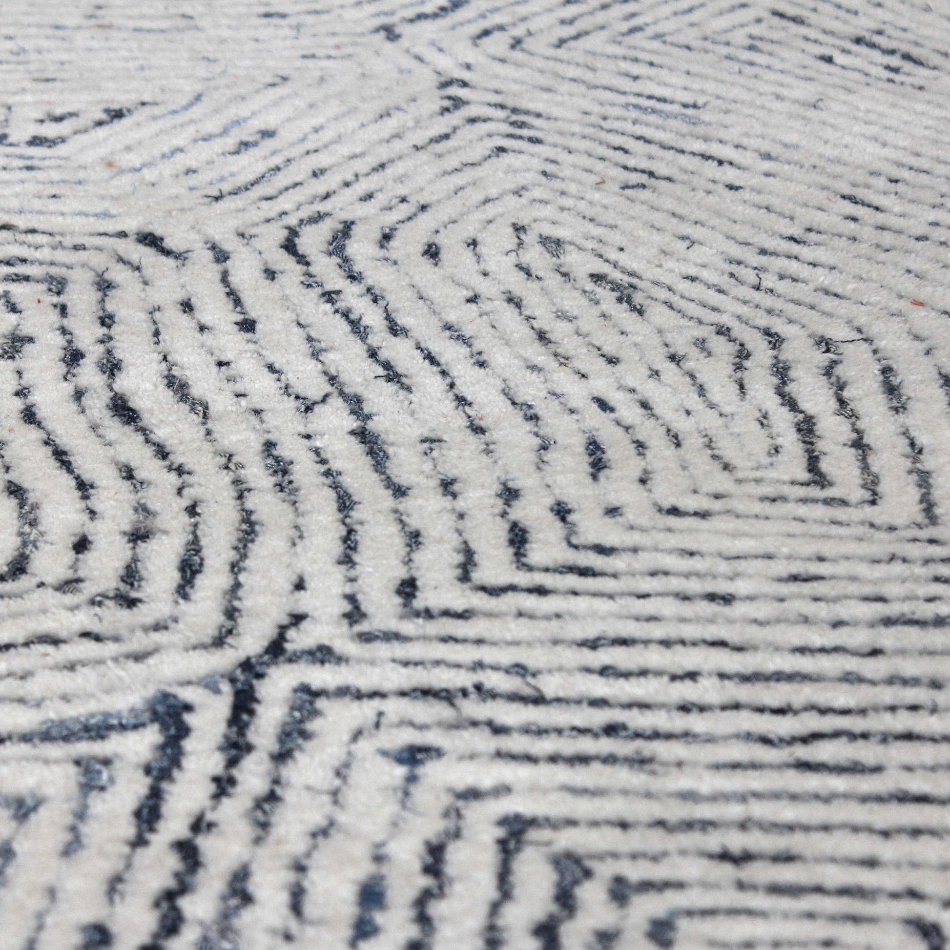 Patterned Blue Rug.