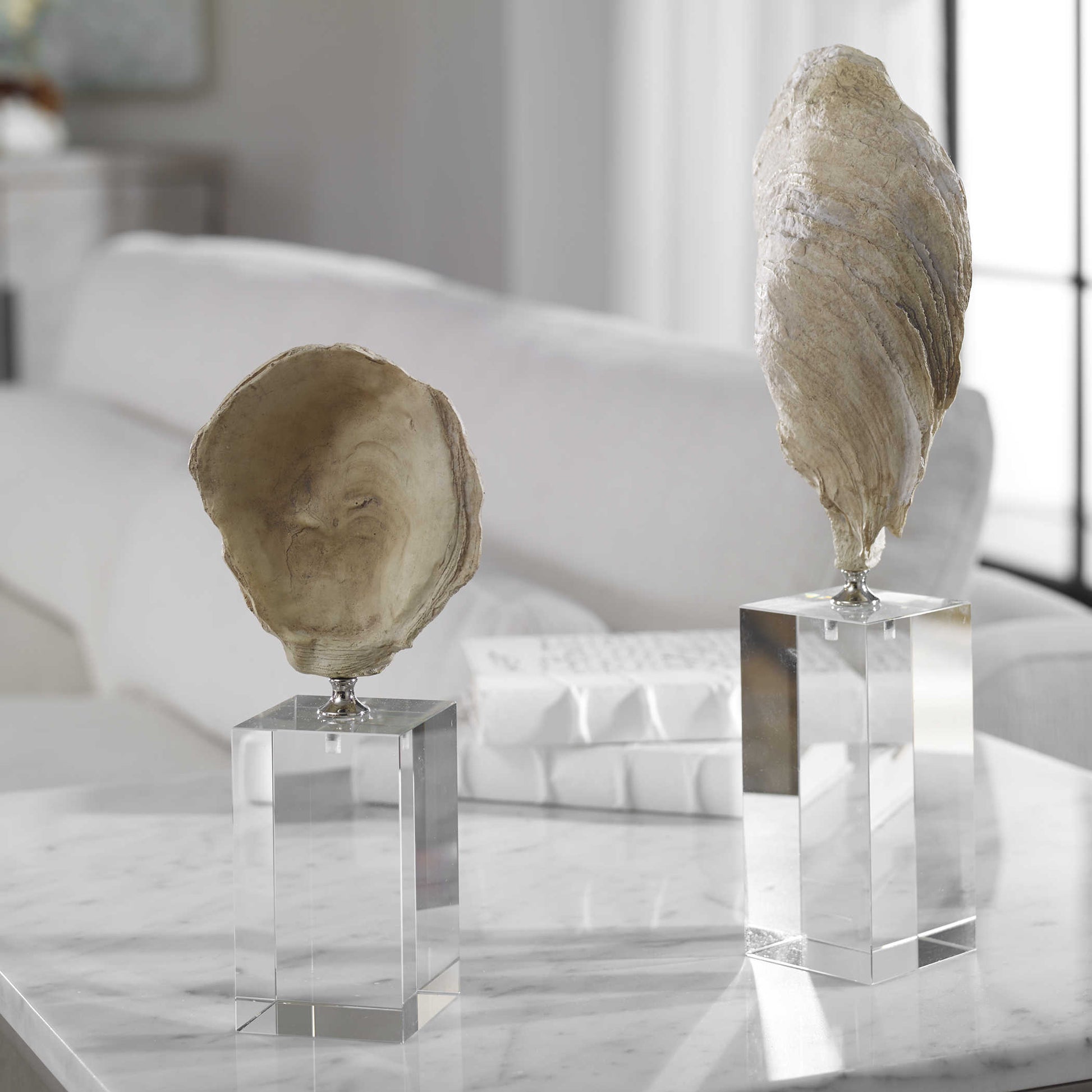 Two shells in a white living room with crystal bases and a white sofa and white books in the background.