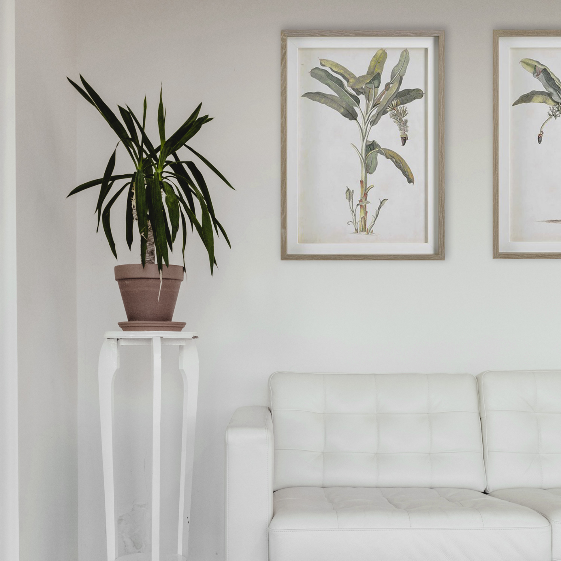 White Coastal Living Room with Vintage Palm Art.